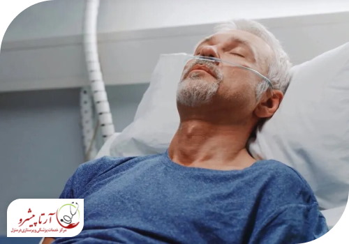 دلایل زندگی نباتی